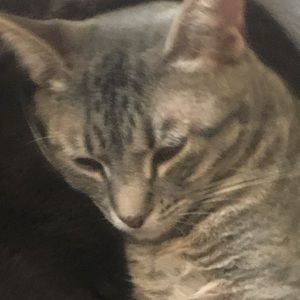 Meet your Posher, Loganne